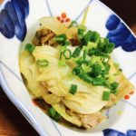 Simmered Pork Belly and chinese cabbage, and chopped green onions on top.